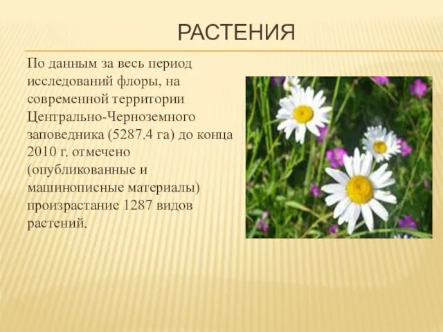 РАСТЕНИЯ По данным за весь период исследований флоры, на современной территории