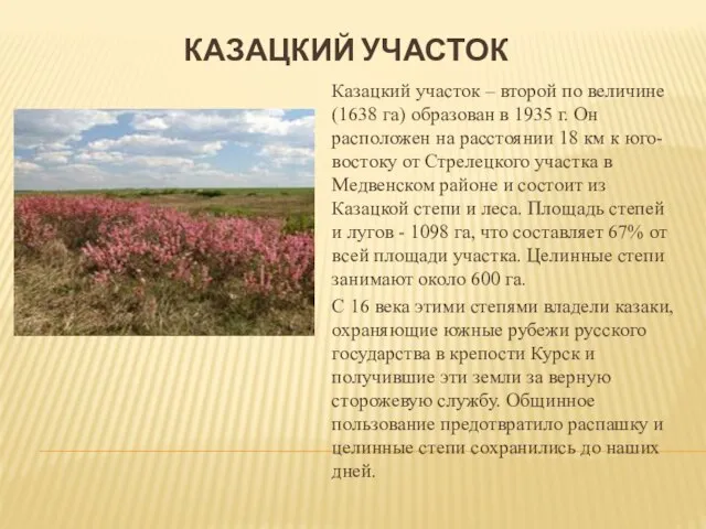 КАЗАЦКИЙ УЧАСТОК Казацкий участок – второй по величине (1638 га) образован