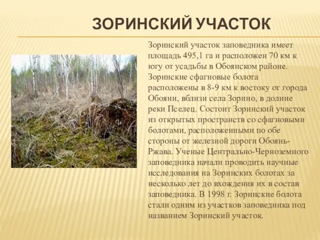 ЗОРИНСКИЙ УЧАСТОК Зоринский участок заповедника имеет площадь 495,1 га и расположен