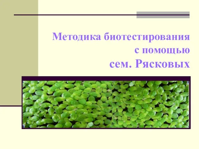 Методика биотестирования с помощью сем. Рясковых