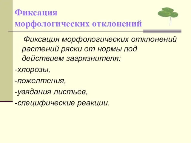 Фиксация морфологических отклонений Фиксация морфологических отклонений растений ряски от нормы под