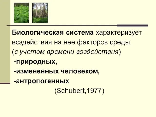 Биологическая система характеризует воздействия на нее факторов среды (с учетом времени