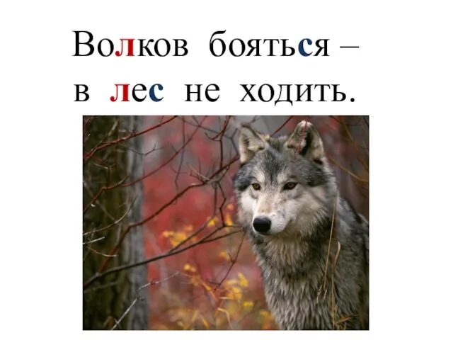 Волков бояться – в лес не ходить.