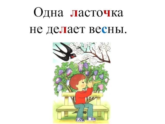 Одна ласточка не делает весны.