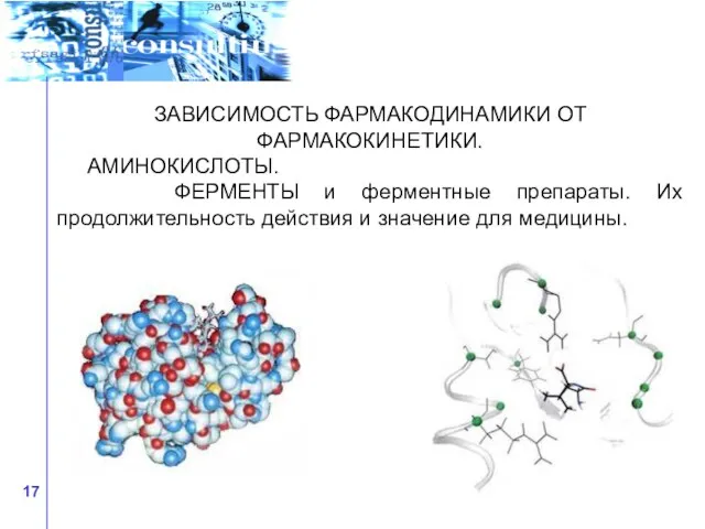 ЗАВИСИМОСТЬ ФАРМАКОДИНАМИКИ ОТ ФАРМАКОКИНЕТИКИ. АМИНОКИСЛОТЫ. ФЕРМЕНТЫ и ферментные препараты. Их продолжительность действия и значение для медицины.