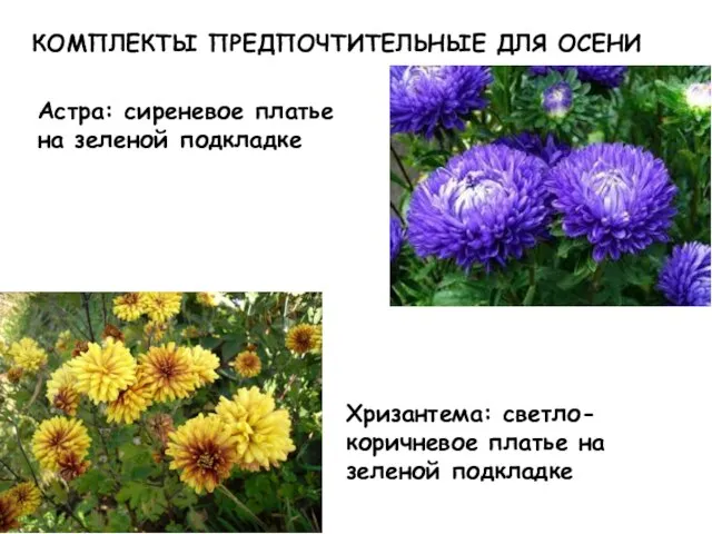 Астра: сиреневое платье на зеленой подкладке КОМПЛЕКТЫ ПРЕДПОЧТИТЕЛЬНЫЕ ДЛЯ ОСЕНИ Хризантема: светло-коричневое платье на зеленой подкладке