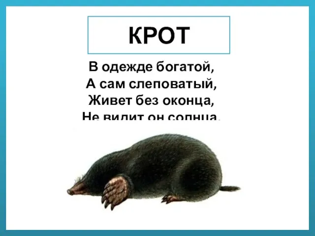 КРОТ