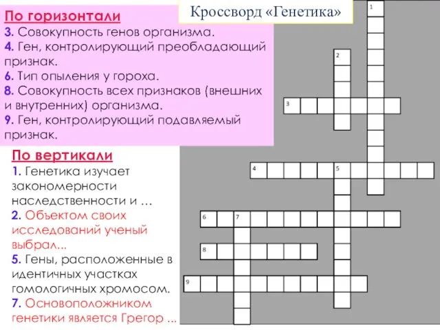 По горизонтали 3. Совокупность генов организма. 4. Ген, контролирующий преобладающий признак.