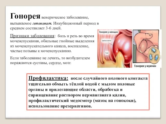 Гонорея венерическое заболевание, вызываемое гонококом. Инкубационный период в среднем составляет 3-6