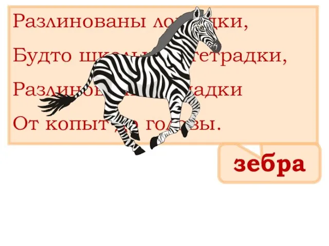 Разлинованы лошадки, Будто школьные тетрадки, Разлинованы лошадки От копыт до головы. з