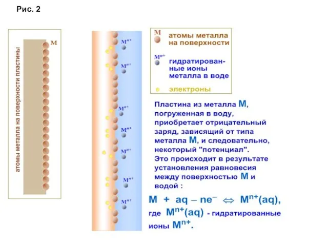 Рис. 2