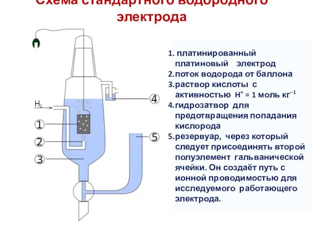 Схема стандартного водородного электрода платинированный платиновый электрод поток водорода от баллона