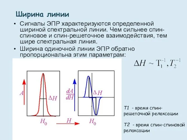 Ширина линии Сигналы ЭПР характеризуются определенной шириной спектральной линии. Чем сильнее