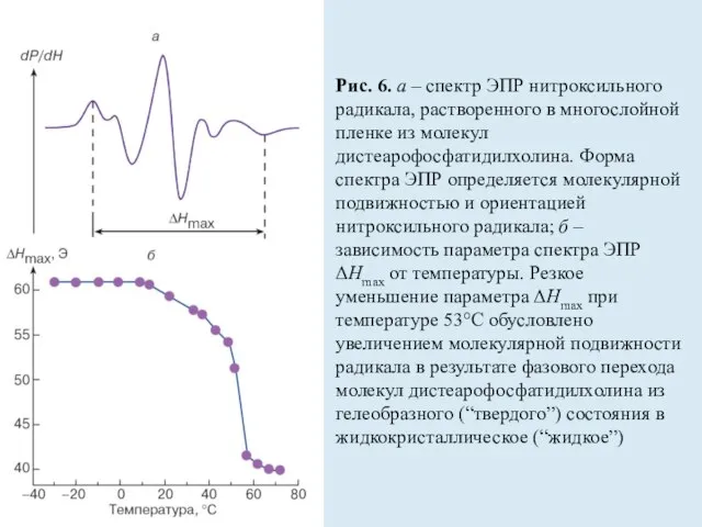 Рис. 6. а – спектр ЭПР нитроксильного радикала, растворенного в многослойной