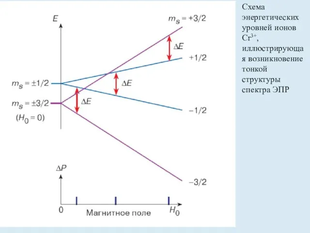 Схема энергетических уровней ионов Cr3+, иллюстрирующая возникновение тонкой структуры спектра ЭПР