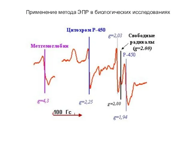 Применение метода ЭПР в биологических исследованиях