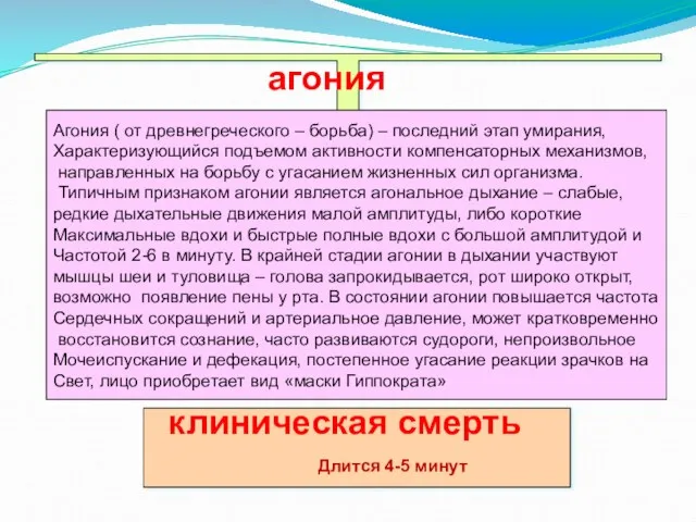 Агония ( от древнегреческого – борьба) – последний этап умирания, Характеризующийся