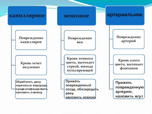 артериальное Обработать рану перекисью водорода, продезинфицировать наложить повязку Прижать поврежденный сосуд,