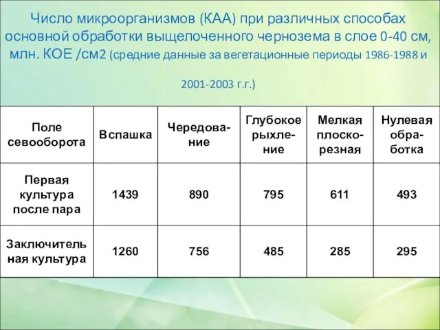 Число микроорганизмов (КАА) при различных способах основной обработки выщелоченного чернозема в