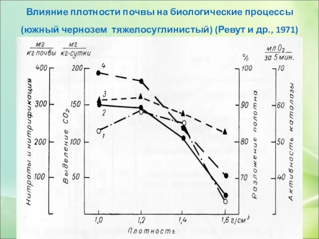 Влияние плотности почвы на биологические процессы (южный чернозем тяжелосуглинистый) (Ревут и др., 1971)