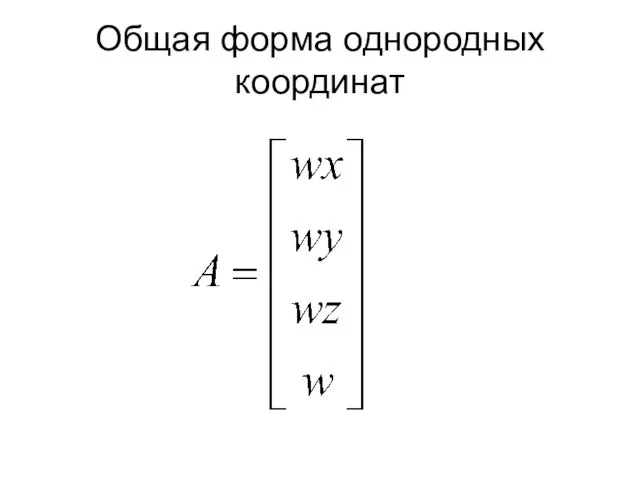 Общая форма однородных координат