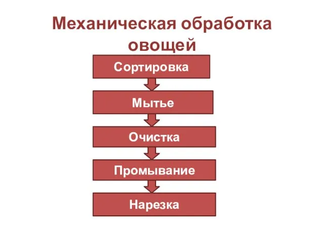 Механическая обработка овощей Сортировка Мытье Очистка Промывание Нарезка