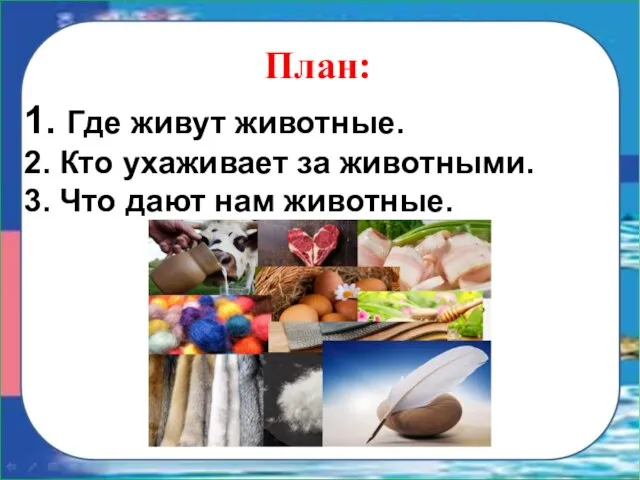 1. Где живут животные. 2. Кто ухаживает за животными. 3. Что дают нам животные. План: