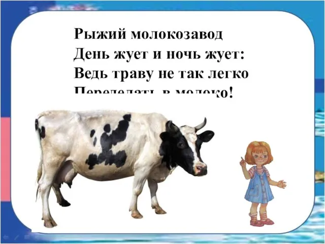 Рыжий молокозавод День жует и ночь жует: Ведь траву не так легко Переделать в молоко!