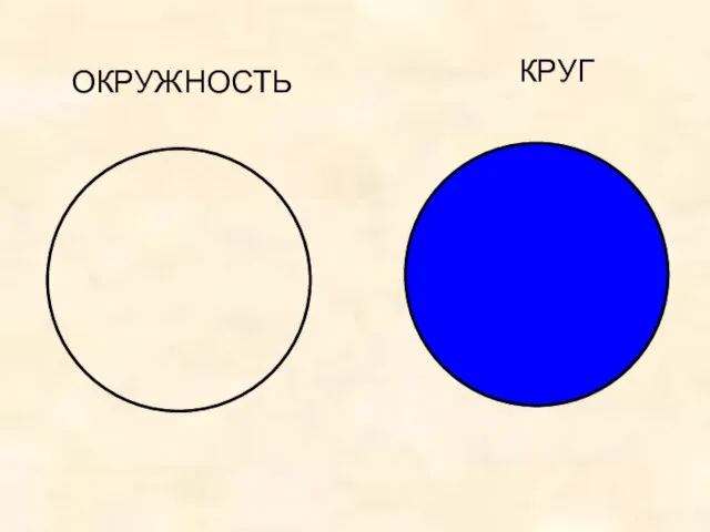 КРУГ ОКРУЖНОСТЬ