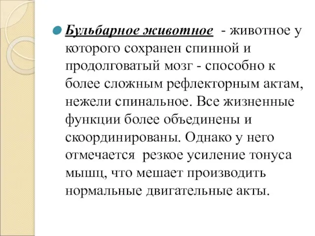 Бульбарное животное - животное у которого сохранен спинной и продолговатый мозг