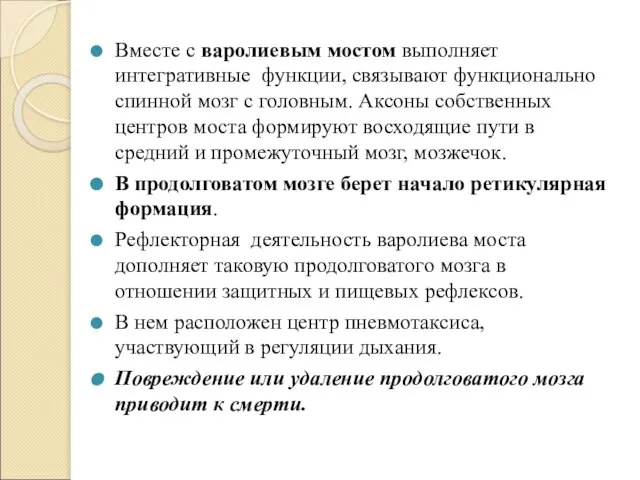 Вместе с варолиевым мостом выполняет интегративные функции, связывают функционально спинной мозг