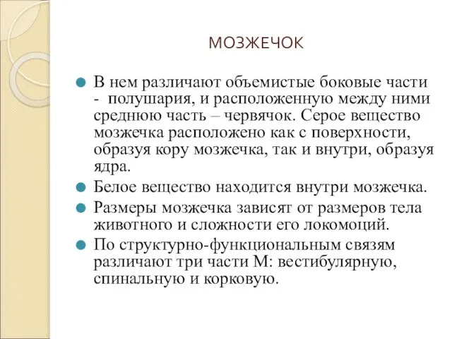 МОЗЖЕЧОК В нем различают объемистые боковые части - полушария, и расположенную