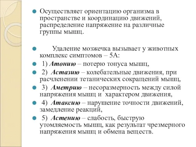 Осуществляет ориентацию организма в пространстве и координацию движений, распределение напряжение на