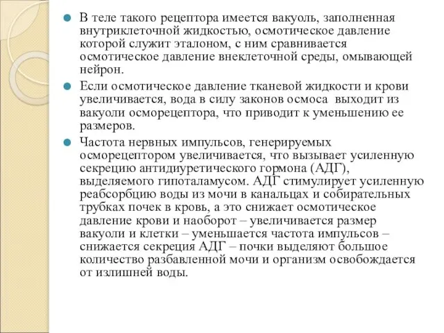 В теле такого рецептора имеется вакуоль, заполненная внутриклеточной жидкостью, осмотическое давление