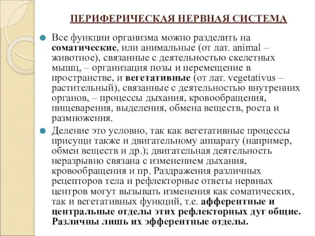 ПЕРИФЕРИЧЕСКАЯ НЕРВНАЯ СИСТЕМА Все функции организма можно разделить на соматические, или