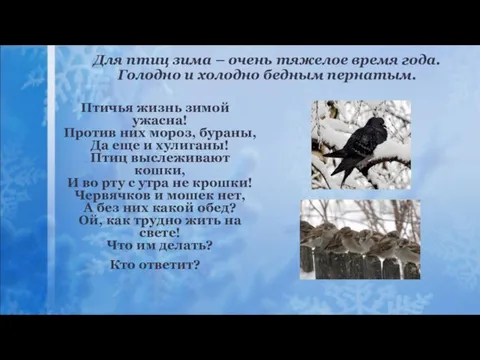 Для птиц зима – очень тяжелое время года. Голодно и холодно