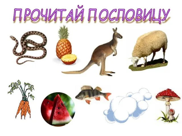 ПРОЧИТАЙ ПОСЛОВИЦУ