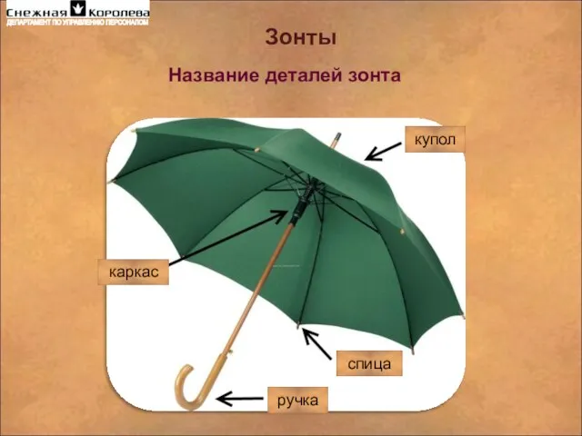 Зонты Название деталей зонта купол спица ручка каркас