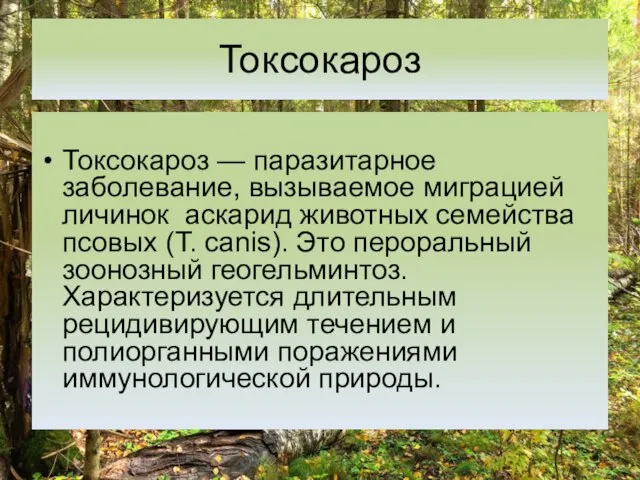 Токсокароз Токсокароз — паразитарное заболевание, вызываемое миграцией личинок аскарид животных семейства