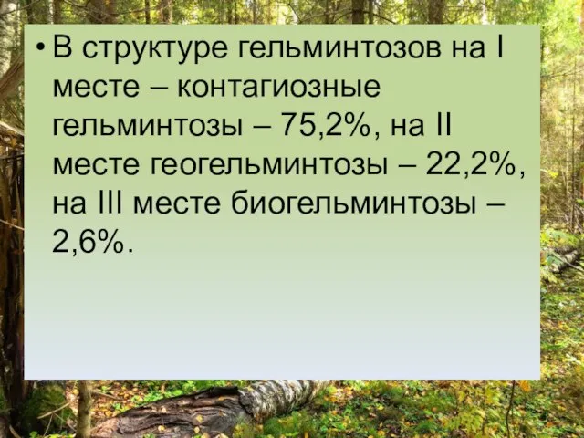 В структуре гельминтозов на I месте – контагиозные гельминтозы – 75,2%,