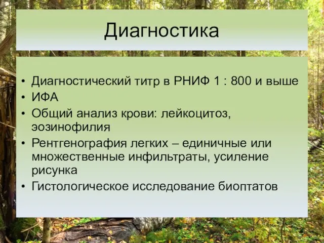 Диагностика Диагностический титр в РНИФ 1 : 800 и выше ИФА