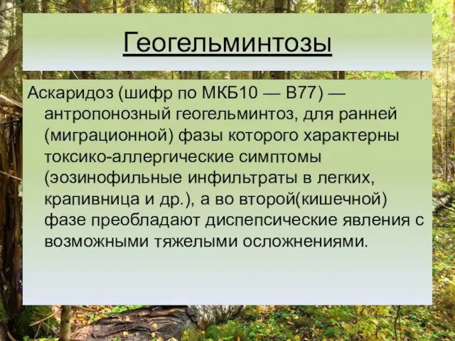 Геогельминтозы Аскаридоз (шифр по МКБ10 — B77) — антропонозный геогельминтоз, для