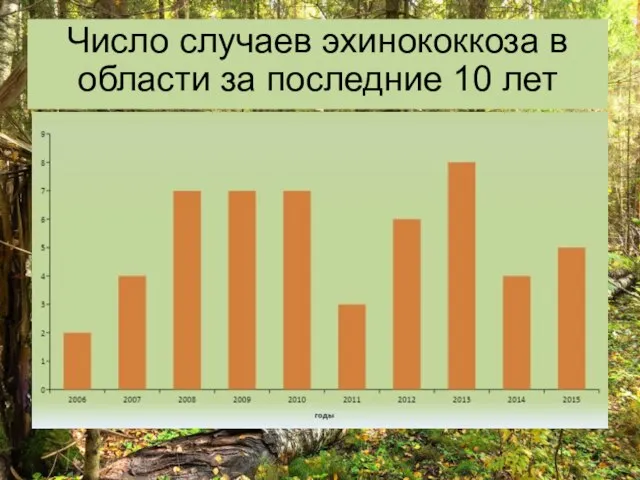 Число случаев эхинококкоза в области за последние 10 лет