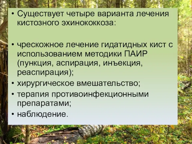 Существует четыре варианта лечения кистозного эхинококкоза: чрескожное лечение гидатидных кист с