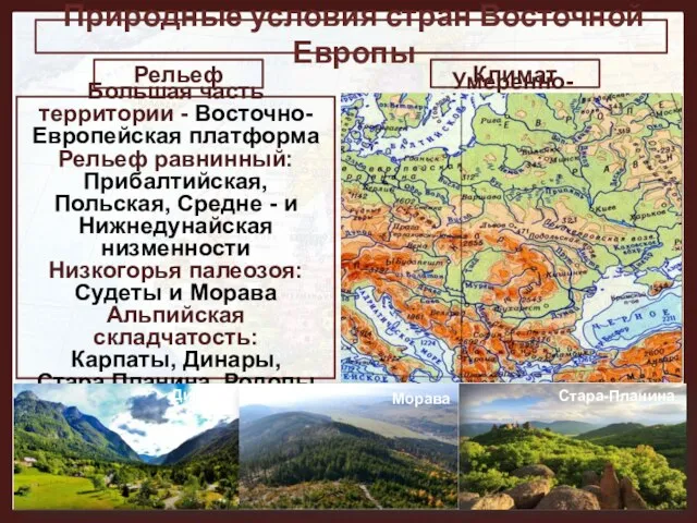 Природные условия стран Восточной Европы Климат Рельеф Большая часть территории -