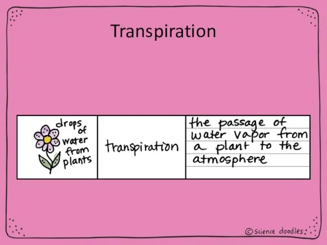 Transpiration