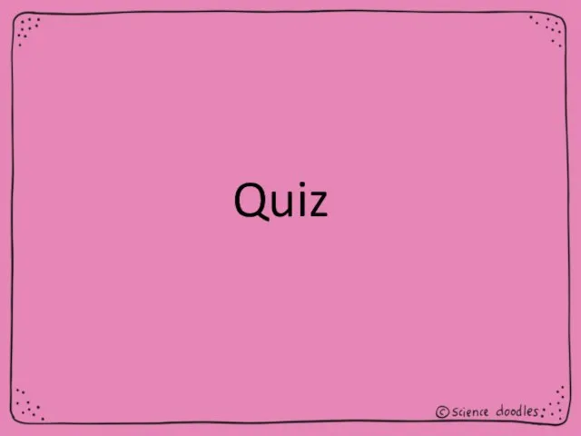 Quiz