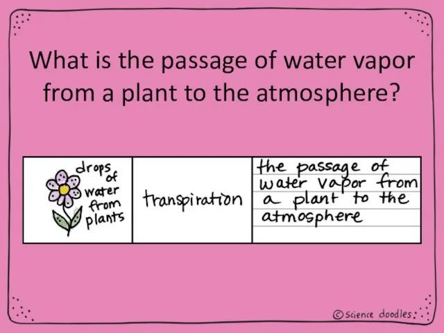 What is the passage of water vapor from a plant to the atmosphere?