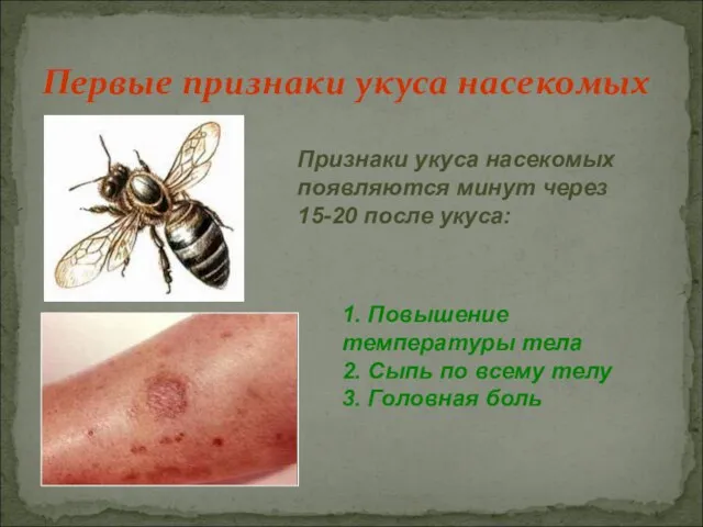 Первые признаки укуса насекомых Признаки укуса насекомых появляются минут через 15-20