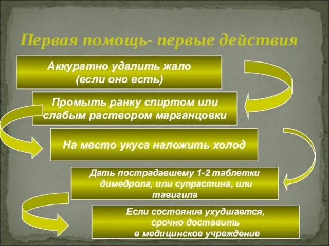 Первая помощь- первые действия Аккуратно удалить жало (если оно есть) Промыть